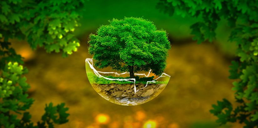 Environment_YO1.jpg
